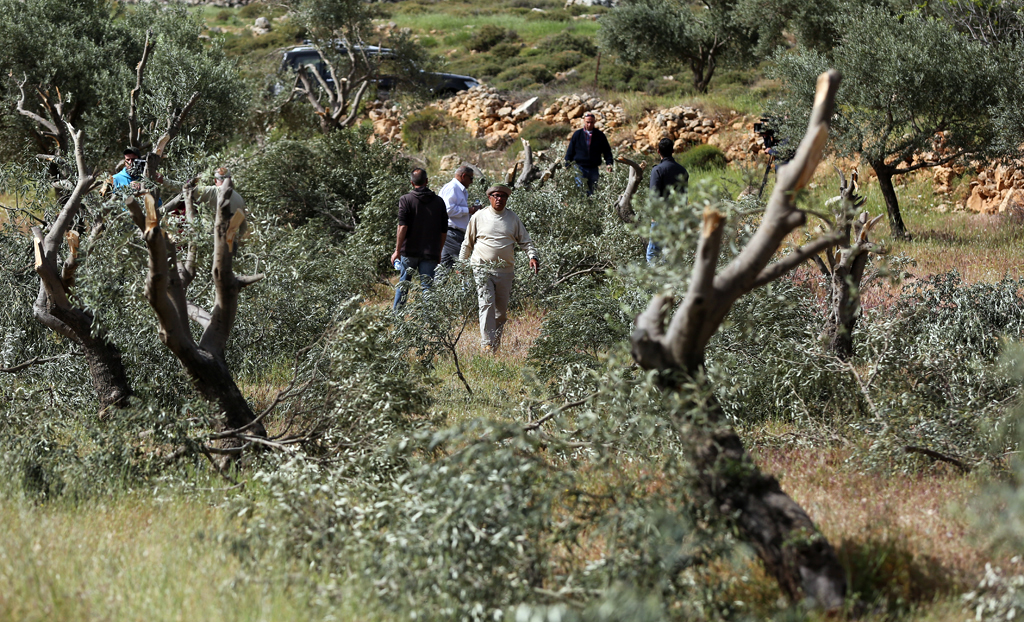 صورة أرشيفية صورة أرشيفية
